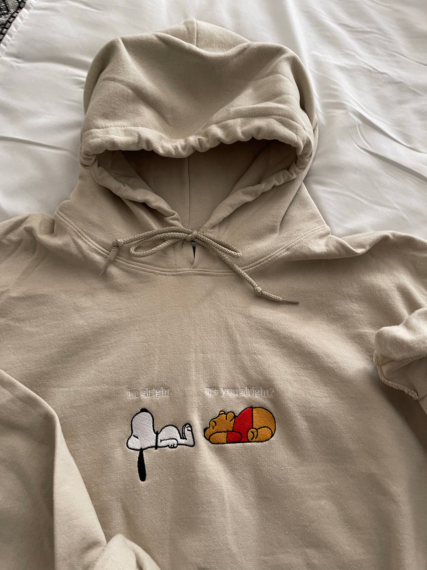 Snoopy x winnie Embroidered hoodie