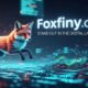 Foxfiny com: Stand Out in the Digital Landscape