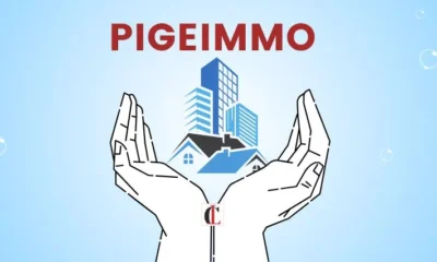 Pigeimmo: The Future of Real Estate Investment?
