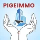 Pigeimmo: The Future of Real Estate Investment?